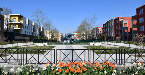 Town Center